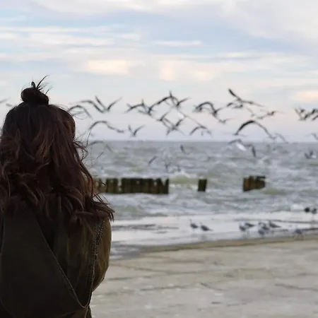 Lejlighed White Pearl 1.16 *